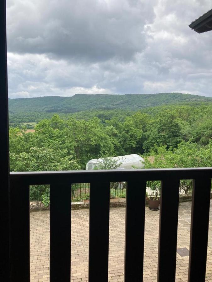 Apartamentos Rurales Casa Lafuente Luquiano Εξωτερικό φωτογραφία